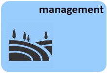 management-icon-v3